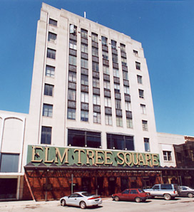 Elm Tree Square, 2001. 