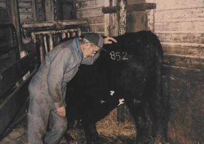 Livestock care was an important part of Brother Placid’s role as the Assumption Abbey farm manager.