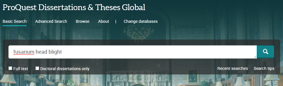 where to search for thesis